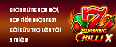 Đặc Quyền VIP